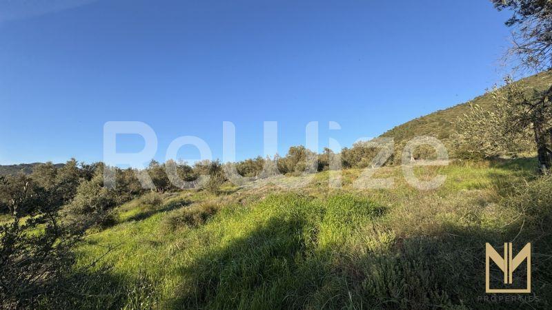 Οικόπεδο 5911 τ.μ. στη Μυτιλήνη, φωτογραφία 10