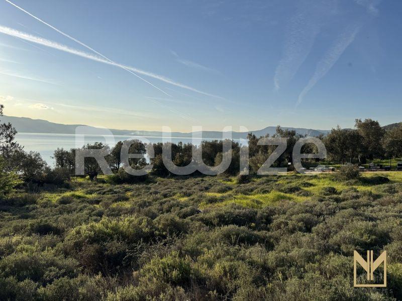 Οικόπεδο 5911 τ.μ. στη Μυτιλήνη, φωτογραφία 4