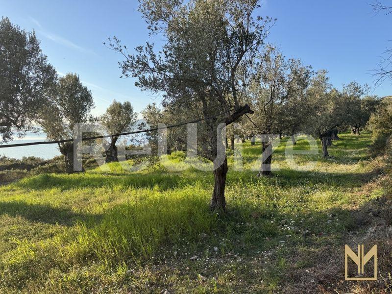 Οικόπεδο 5911 τ.μ. στη Μυτιλήνη, φωτογραφία 9
