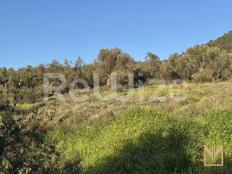 Οικόπεδο 5911 τ.μ. στη Μυτιλήνη, φωτογραφία 8