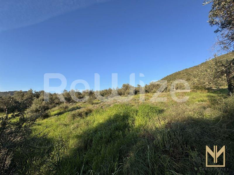 Photo 6,Εξωτερική,ΠΏΛΗΣΗ,Γη,Οικόπεδο,5911τ.μ,€78,100,Μυτιλήνη