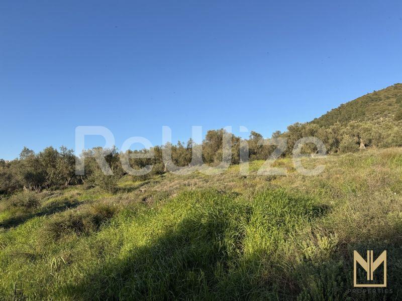 Οικόπεδο 5911 τ.μ. στη Μυτιλήνη, φωτογραφία 5