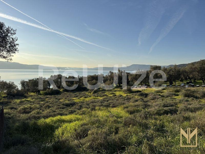 Οικόπεδο 5911 τ.μ. στη Μυτιλήνη, φωτογραφία 7