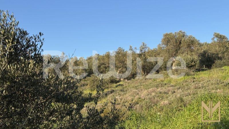 Οικόπεδο 5911 τ.μ. στη Μυτιλήνη, φωτογραφία 11