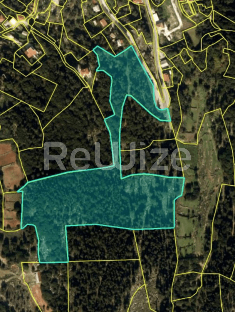 Photo 2,Διάδρομος,ΕΝΟΙΚΊΑΣΗ,Γη,Οικόπεδο,6000τ.μ,€68,000,Ληξούρι