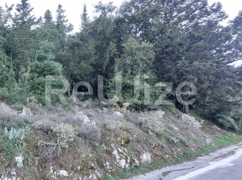 Photo 3,Εξωτερική,ΕΝΟΙΚΊΑΣΗ,Γη,Οικόπεδο,6000τ.μ,€68,000,Ληξούρι