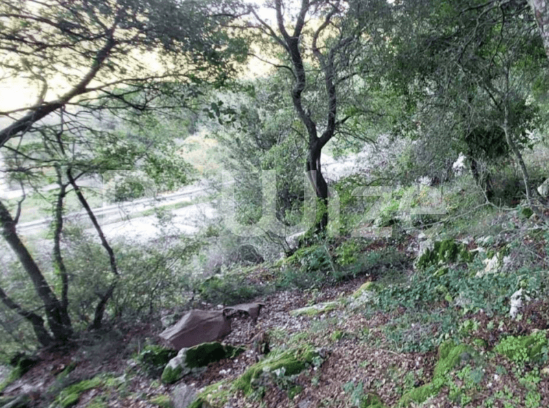 Photo 4,Παραλία,ΕΝΟΙΚΊΑΣΗ,Γη,Οικόπεδο,6000τ.μ,€68,000,Ληξούρι