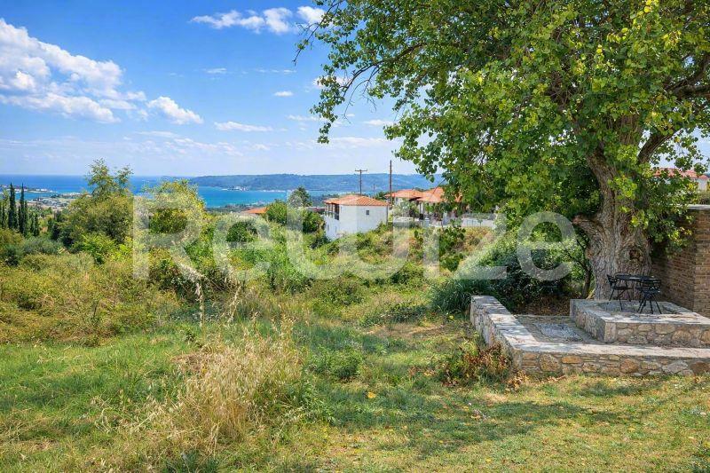 Μοναδικό οικόπεδο με θέα στη θάλασσα στη Χαλκιδική, περιβάλλον με δέντρα και γαλάζιο ορίζοντα.