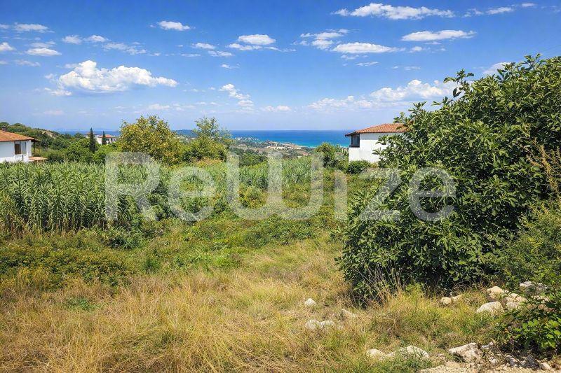 Οικόπεδο με θέα θάλασσα στη Χαλκιδική, περιτριγυρισμένο από πράσινη βλάστηση και ελιές.