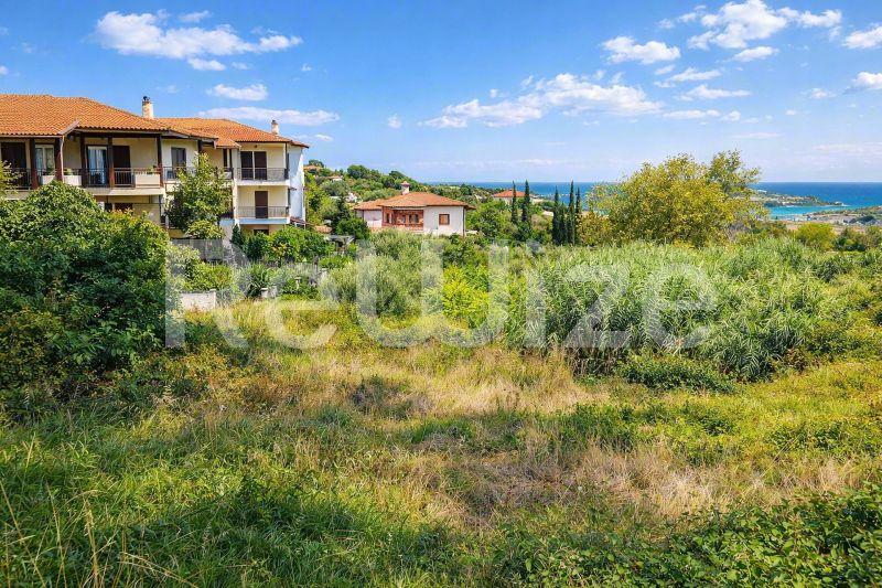 Οικόπεδο στην Χαλκιδική με θέα στη θάλασσα, περιτριγυρισμένο από πράσινη μεσογειακή βλάστηση.