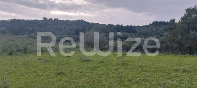 Photo 1,Outside,RENT,Land,Field,4027sqm,€52,000,Lixouri