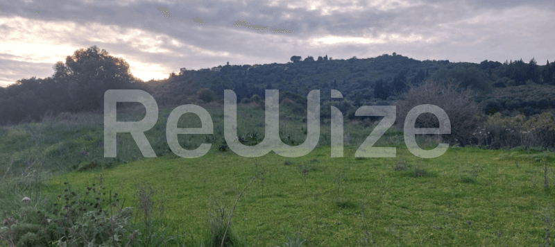 Photo 2,Outside,RENT,Land,Field,4027sqm,€52,000,Lixouri