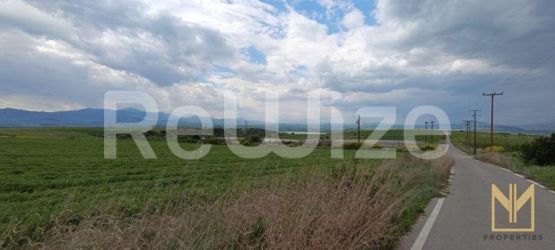 Photo 7,Θέα στη θάλασσα,ΠΏΛΗΣΗ,Γη,Αγροτεμάχιο,9558τ.μ,€20,100,Σέρβια