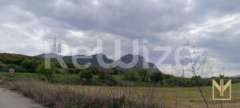 Photo 12,Εξωτερική,ΠΏΛΗΣΗ,Γη,Αγροτεμάχιο,9558τ.μ,€20,100,Σέρβια