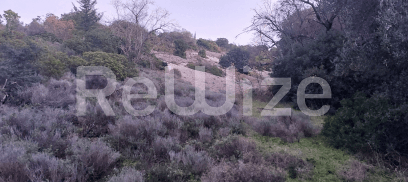 Photo 3,Outside,RENT,Land,Field,3000sqm,€10,000,Argostoli