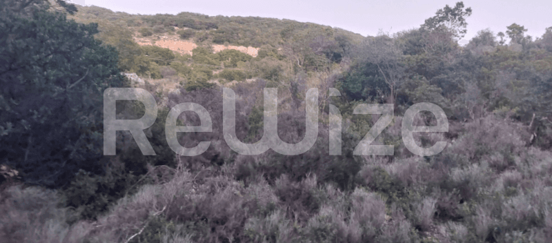 Photo 2,Sea View,RENT,Land,Field,3000sqm,€10,000,Argostoli