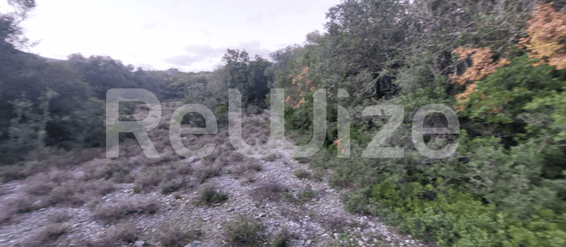 Photo 3,Garden,RENT,Land,Field,2000sqm,€6,800,Argostoli