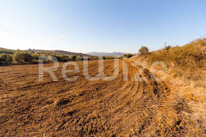 Photo 6,Θέα στο Βουνό,ΠΏΛΗΣΗ,Γη,Αγροτεμάχιο,12500τ.μ,€80,000,Βατοπέδι