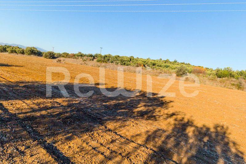 Photo 2,Πανοραμική Θέα,ΠΏΛΗΣΗ,Γη,Αγροτεμάχιο,12500τ.μ,€80,000,Βατοπέδι