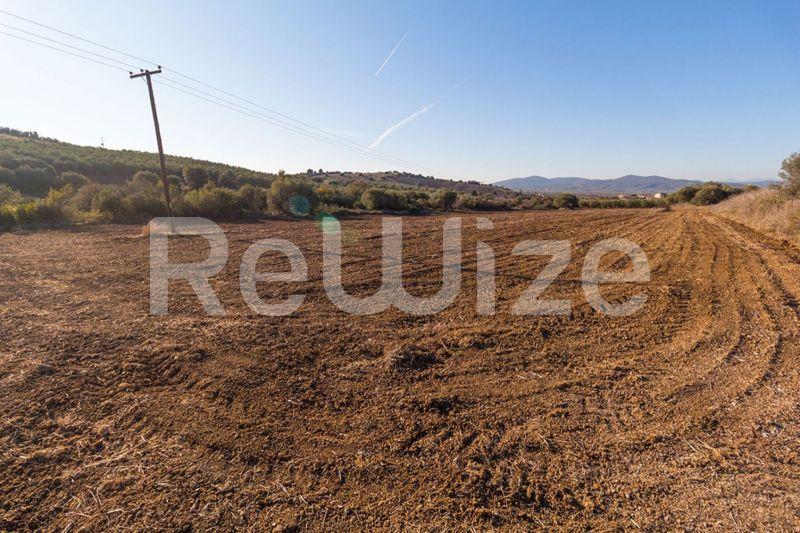 Photo 5,Πανοραμική Θέα,ΠΏΛΗΣΗ,Γη,Αγροτεμάχιο,12500τ.μ,€80,000,Βατοπέδι