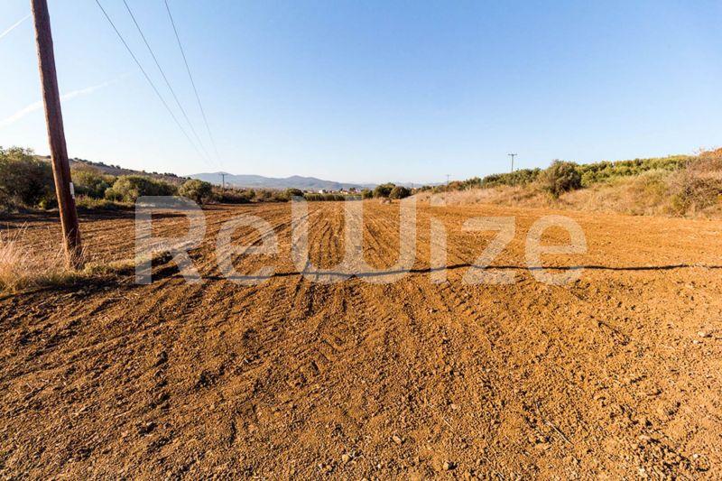 Photo 7,Θέα στο Βουνό,ΠΏΛΗΣΗ,Γη,Αγροτεμάχιο,12500τ.μ,€80,000,Βατοπέδι