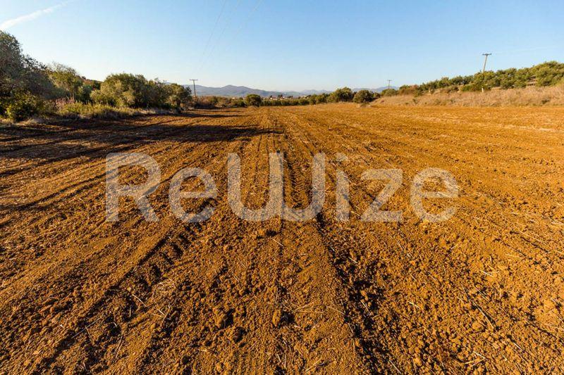 Photo 4,Πανοραμική Θέα,ΠΏΛΗΣΗ,Γη,Αγροτεμάχιο,12500τ.μ,€80,000,Βατοπέδι