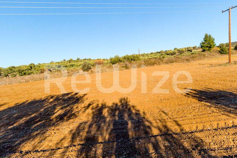Photo 1,Πανοραμική Θέα,ΠΏΛΗΣΗ,Γη,Αγροτεμάχιο,12500τ.μ,€80,000,Βατοπέδι