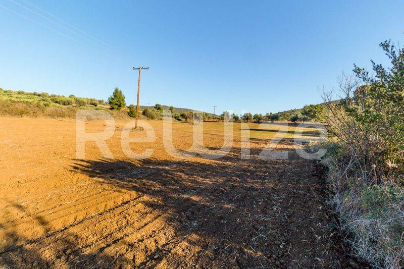 Photo 3,Πανοραμική Θέα,ΠΏΛΗΣΗ,Γη,Αγροτεμάχιο,12500τ.μ,€80,000,Βατοπέδι
