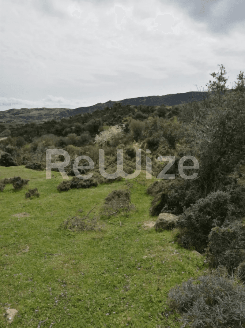 Photo 7,Θέα στο Βουνό,ΠΏΛΗΣΗ,Γη,Οικόπεδο,500τ.μ,€30,000,Κριαρίτσι