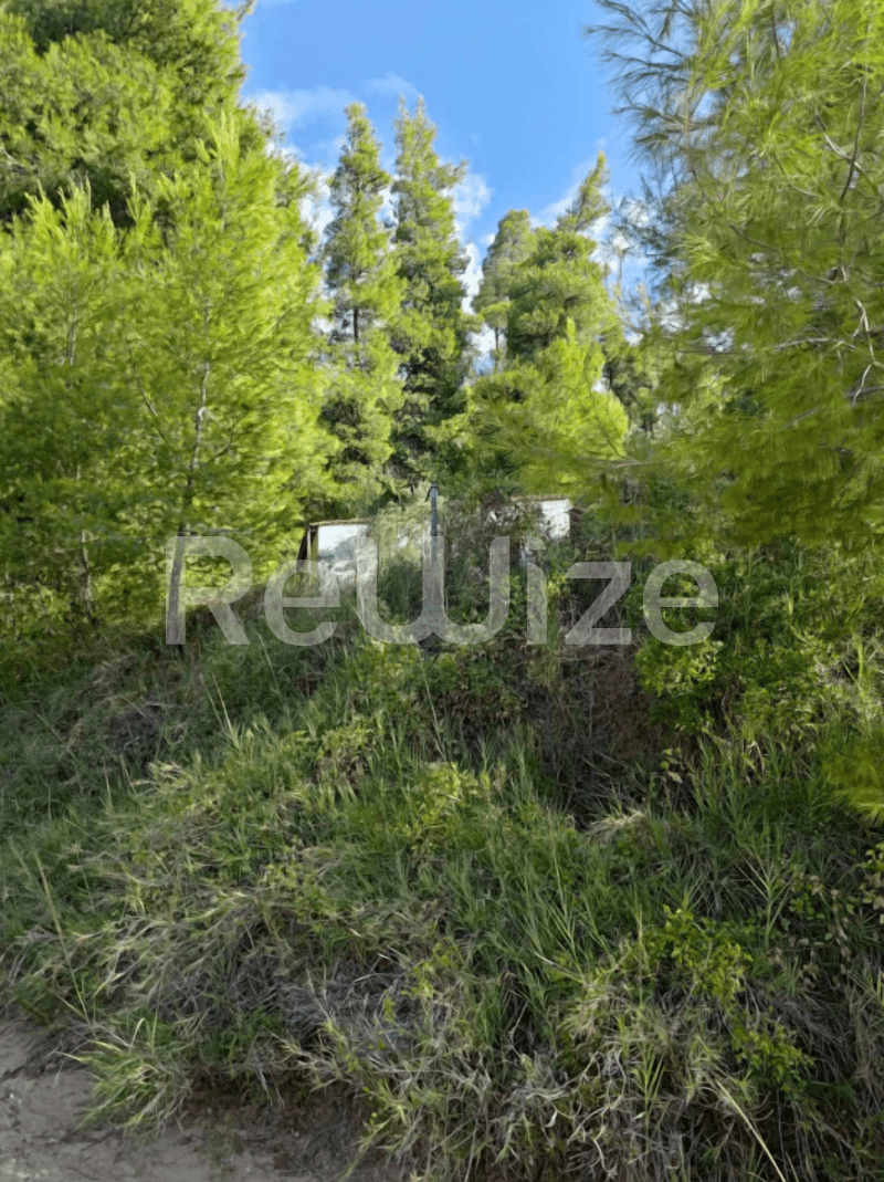 Photo 6,Garden,SALE,Land,Plot,4100sqm,€73,000,Nea Skioni