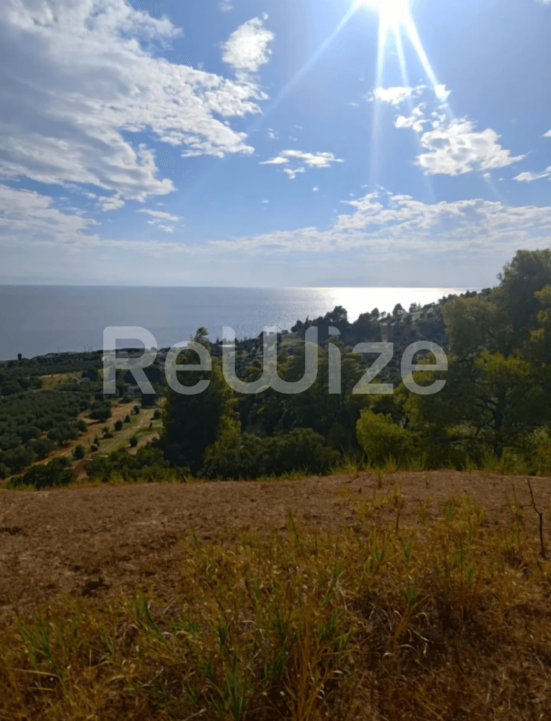Photo 9,Sea View,SALE,Land,Plot,4100sqm,€73,000,Nea Skioni