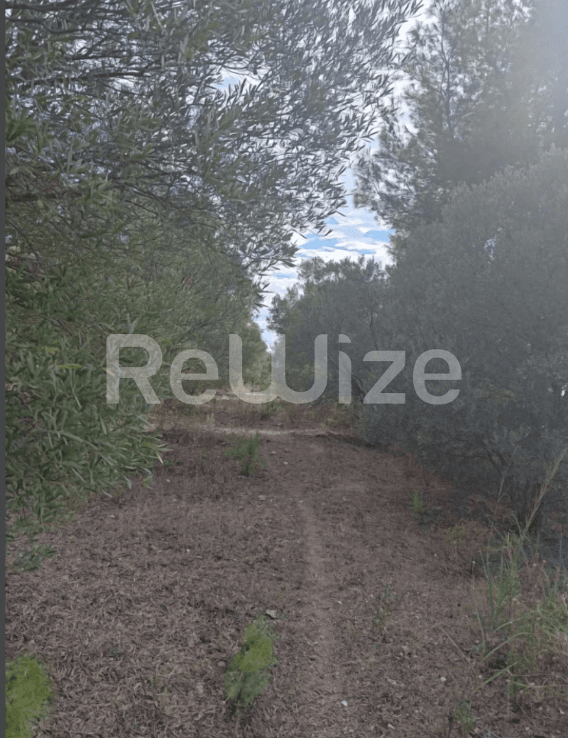 Photo 16,Outside,SALE,Land,Plot,4100sqm,€73,000,Nea Skioni