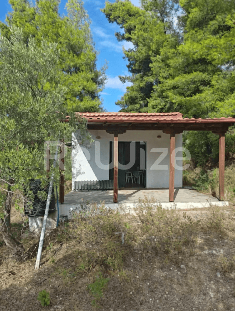 Photo 1,Garden,SALE,Land,Plot,4100sqm,€73,000,Nea Skioni
