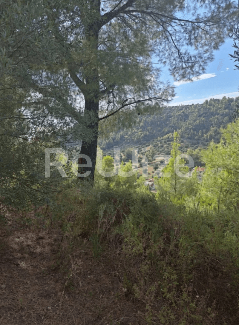 Photo 14,Garden,SALE,Land,Plot,4100sqm,€73,000,Nea Skioni