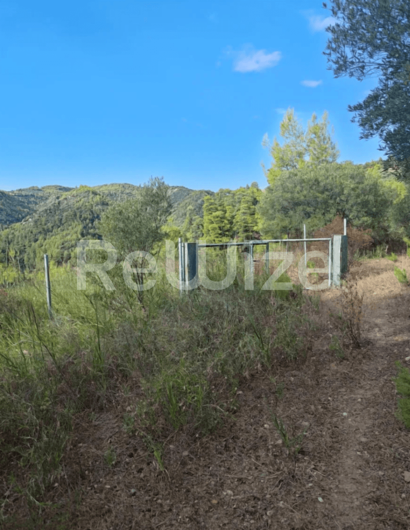 Photo 2,Outside,SALE,Land,Plot,4100sqm,€73,000,Nea Skioni