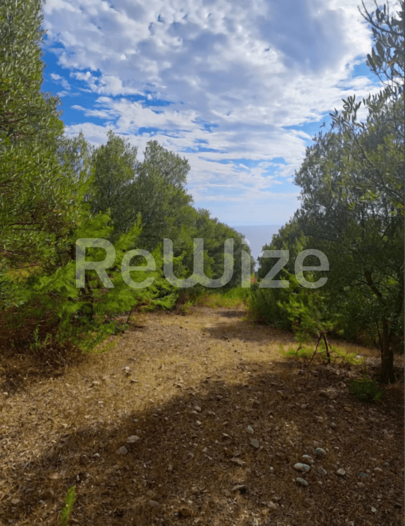 Photo 13,Outside,SALE,Land,Plot,4100sqm,€73,000,Nea Skioni