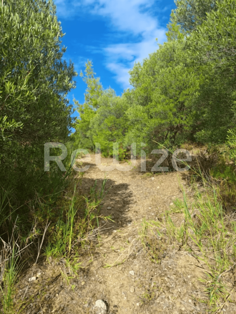 Photo 12,Outside,SALE,Land,Plot,4100sqm,€73,000,Nea Skioni