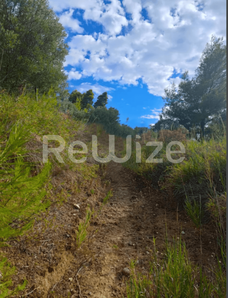 Photo 15,Outside,SALE,Land,Plot,4100sqm,€73,000,Nea Skioni