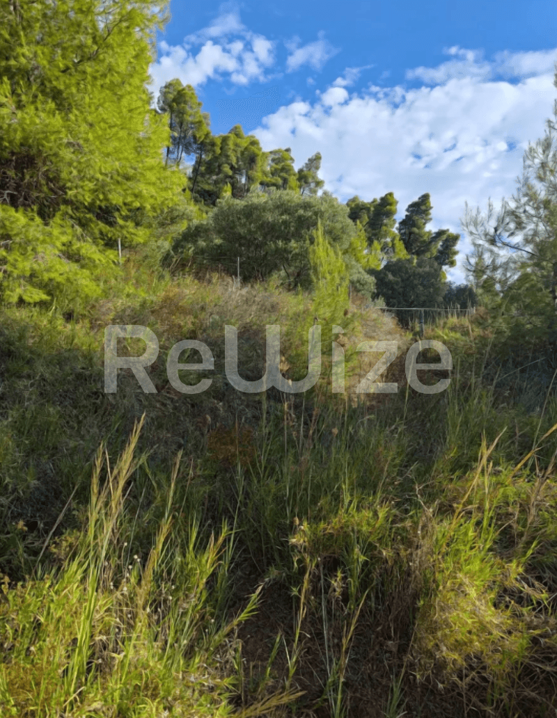 Photo 8,Outside,SALE,Land,Plot,4100sqm,€73,000,Nea Skioni