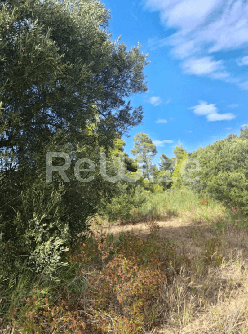 Photo 11,Outside,SALE,Land,Plot,4100sqm,€73,000,Nea Skioni