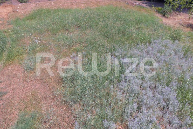 Photo 3,Outside,SALE,Land,Field,1365sqm,€200,000,Metamorfosi