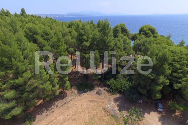 Photo 1,Outside,SALE,Land,Field,1365sqm,€200,000,Metamorfosi