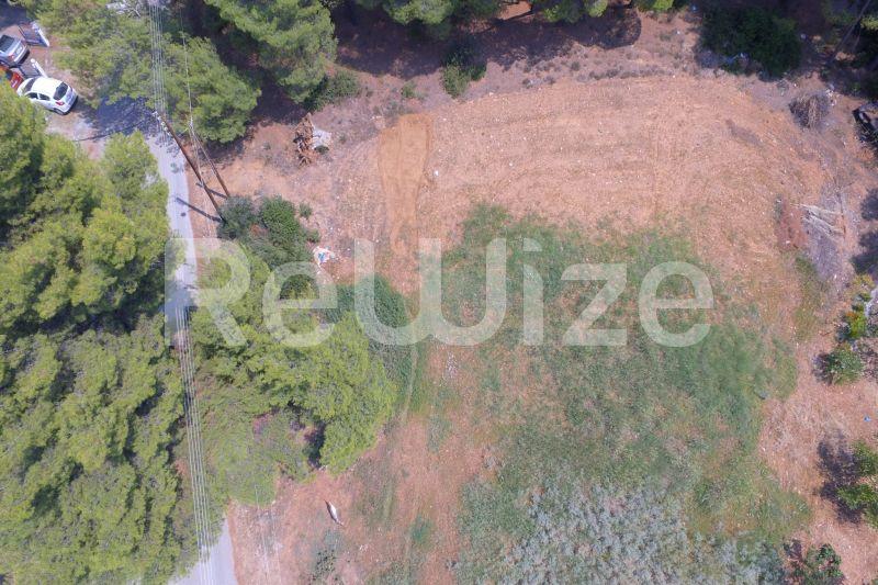 Photo 15,Outside,SALE,Land,Field,1365sqm,€200,000,Metamorfosi