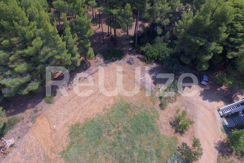 Photo 16,Outside,SALE,Land,Field,1365sqm,€200,000,Metamorfosi