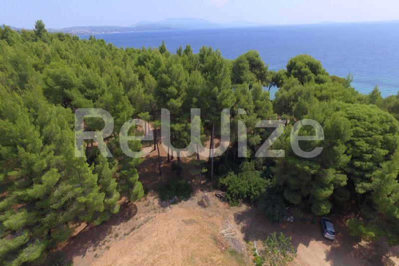 Photo 8,Outside,SALE,Land,Field,1365sqm,€200,000,Metamorfosi