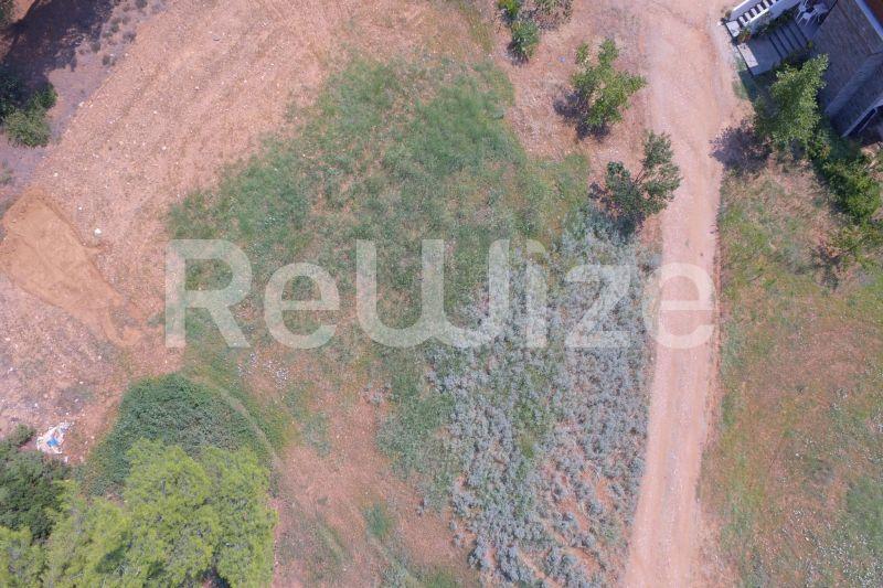 Photo 10,Outside,SALE,Land,Field,1365sqm,€200,000,Metamorfosi