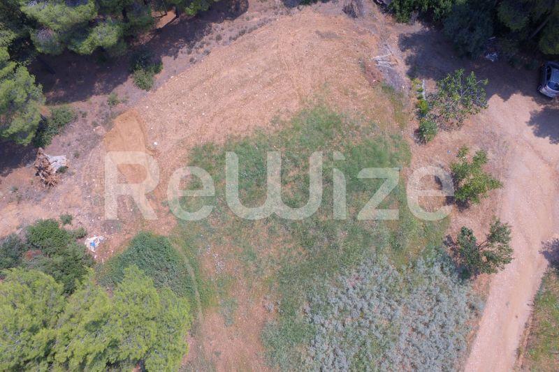Photo 19,Outside,SALE,Land,Field,1365sqm,€200,000,Metamorfosi