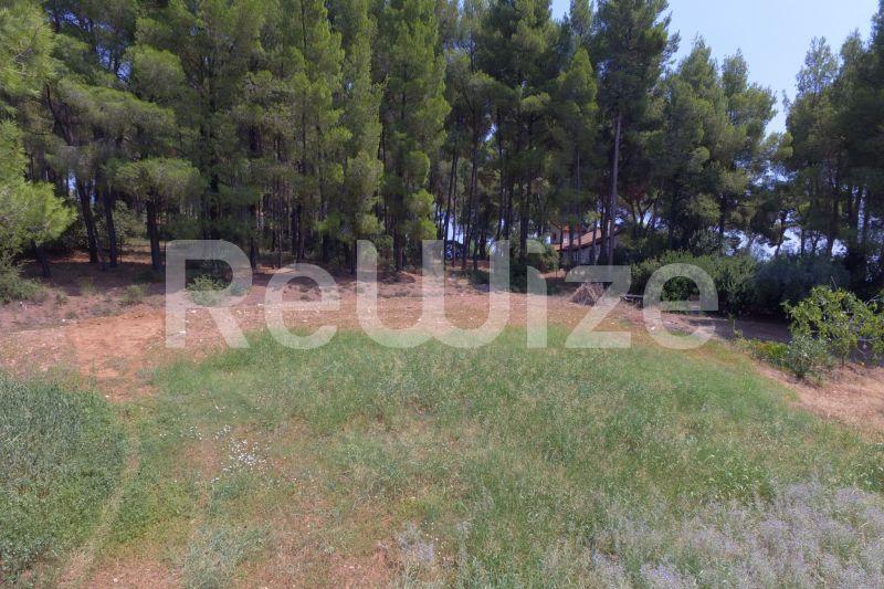 Photo 2,Outside,SALE,Land,Field,1365sqm,€200,000,Metamorfosi