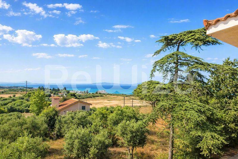Θέα της θάλασσας από μία μονοκατοικία στη Χαλκιδική με ελαιώνες και παραλιακό τοπίο.