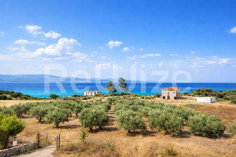Θέα θάλασσας ενός μονοκατοικίας στην Χαλκιδική με ελαιώνες, τυρκουάζ νερά και γαλάζιο ουράνιο τόξο.